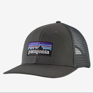 Grey Patagonia trucker hat
